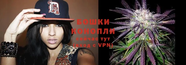 шишки Карталы