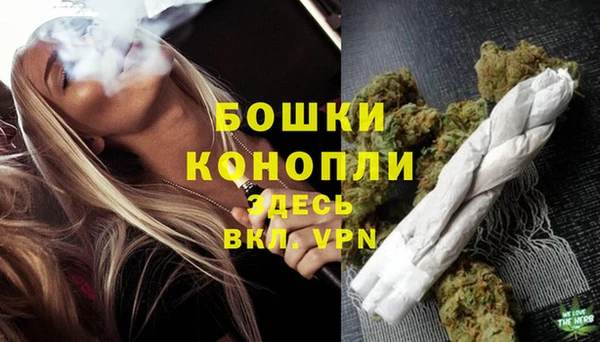 шишки Карталы