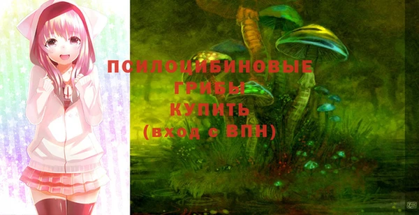 мдпв Киреевск