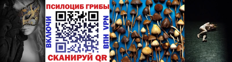Псилоцибиновые грибы Cubensis Старый Оскол