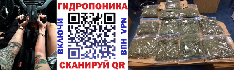 Бошки марихуана White Widow  купить   Старый Оскол 